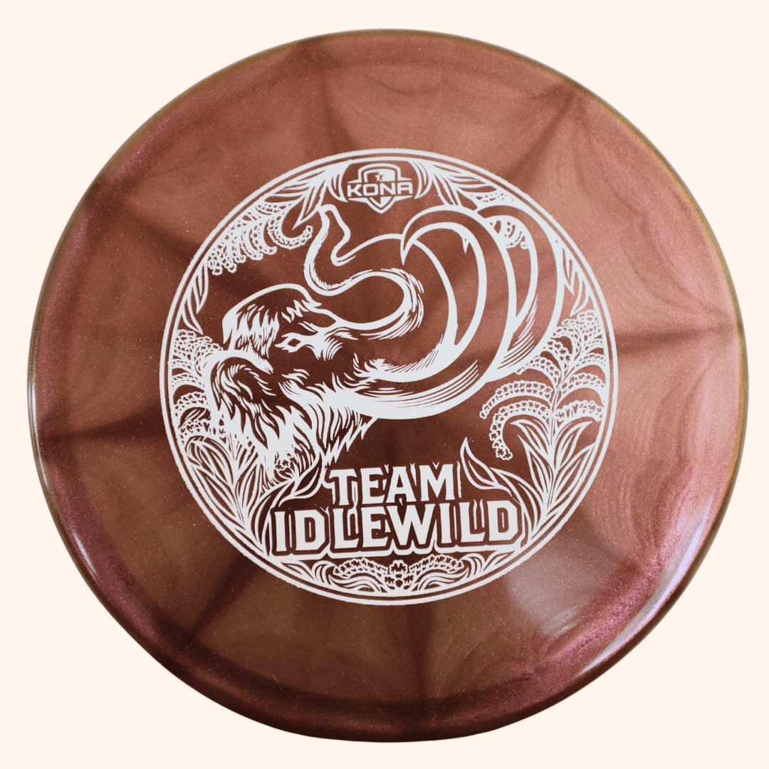 Dynamic Discs Suspect - Image 5
