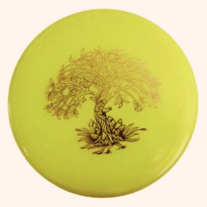 Dynamic Discs Suspect