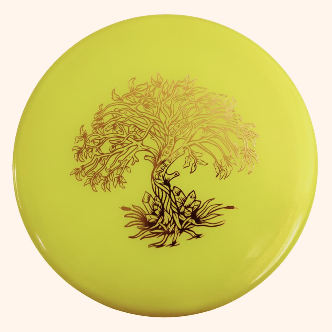 Dynamic Discs Suspect