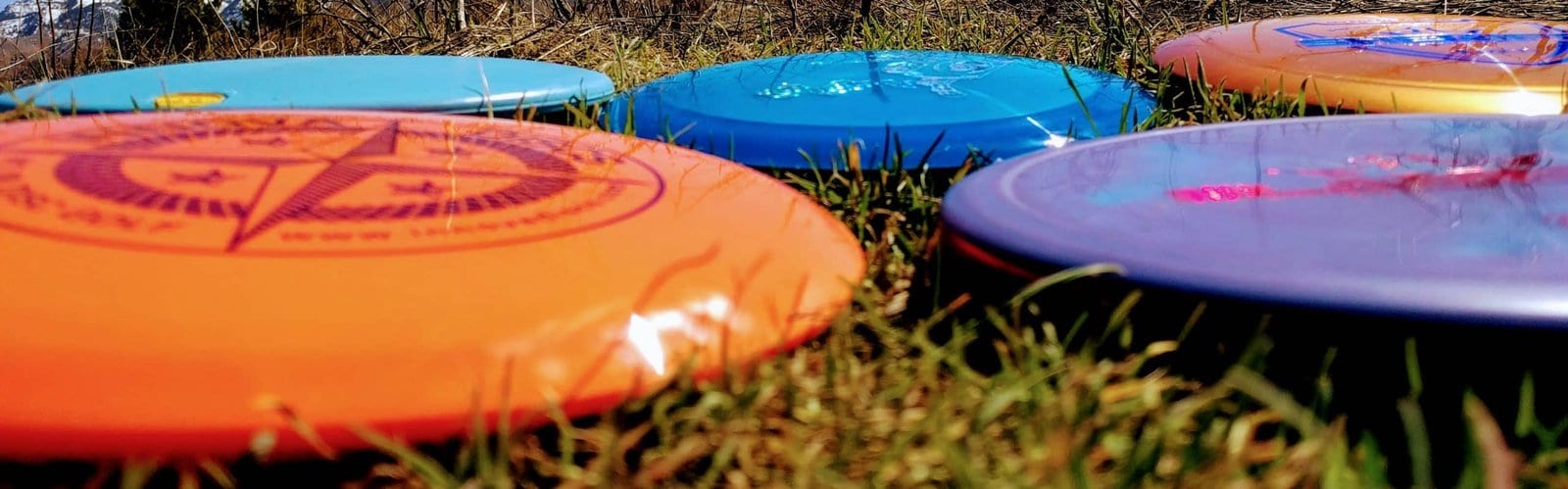 Types of Disc Golf Discs