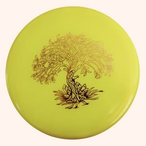 Dynamic Discs Suspect